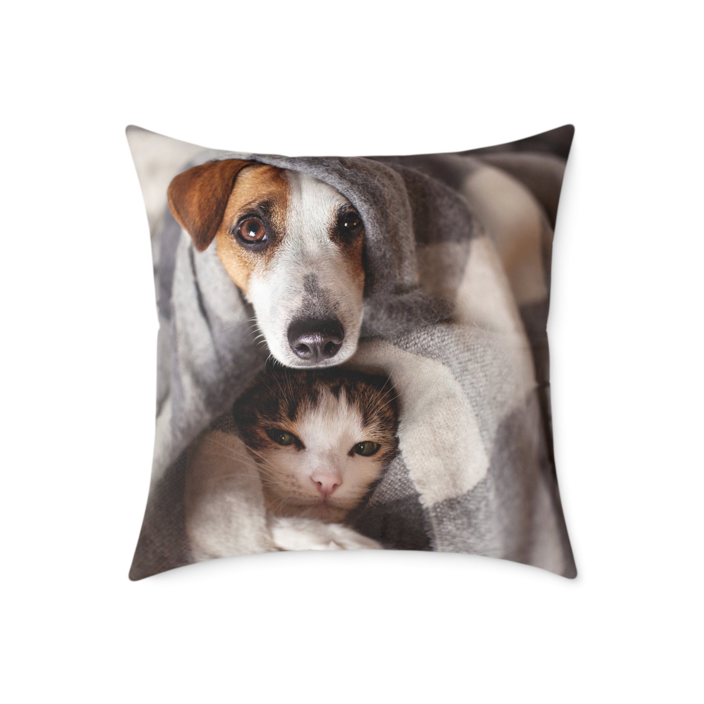 Square Pillow - Cozy Dog and Cat Design for Pet Lovers | Animal Decor, Home Gift, Living Room Accents