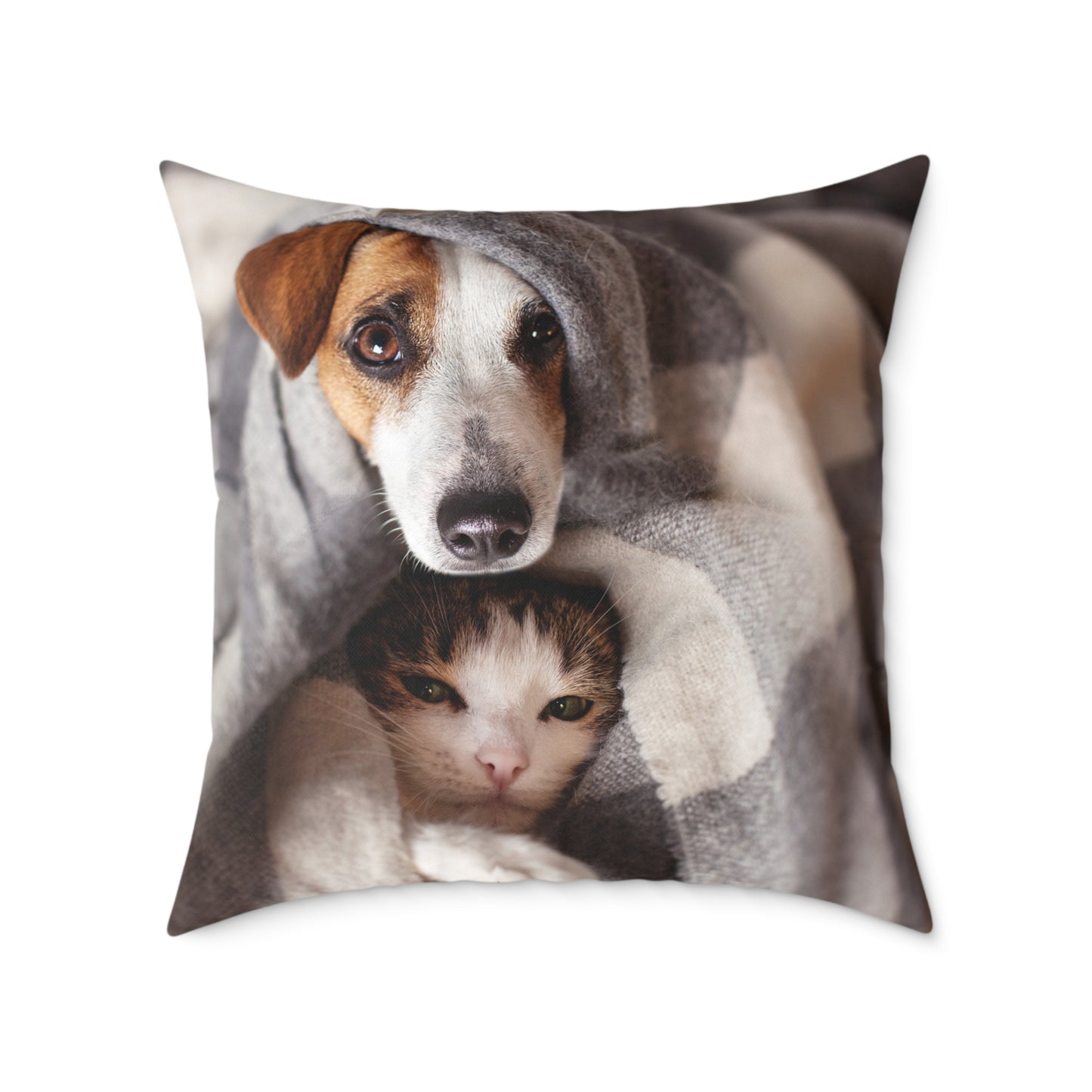 Square Pillow - Cozy Dog and Cat Design for Pet Lovers | Animal Decor, Home Gift, Living Room Accents