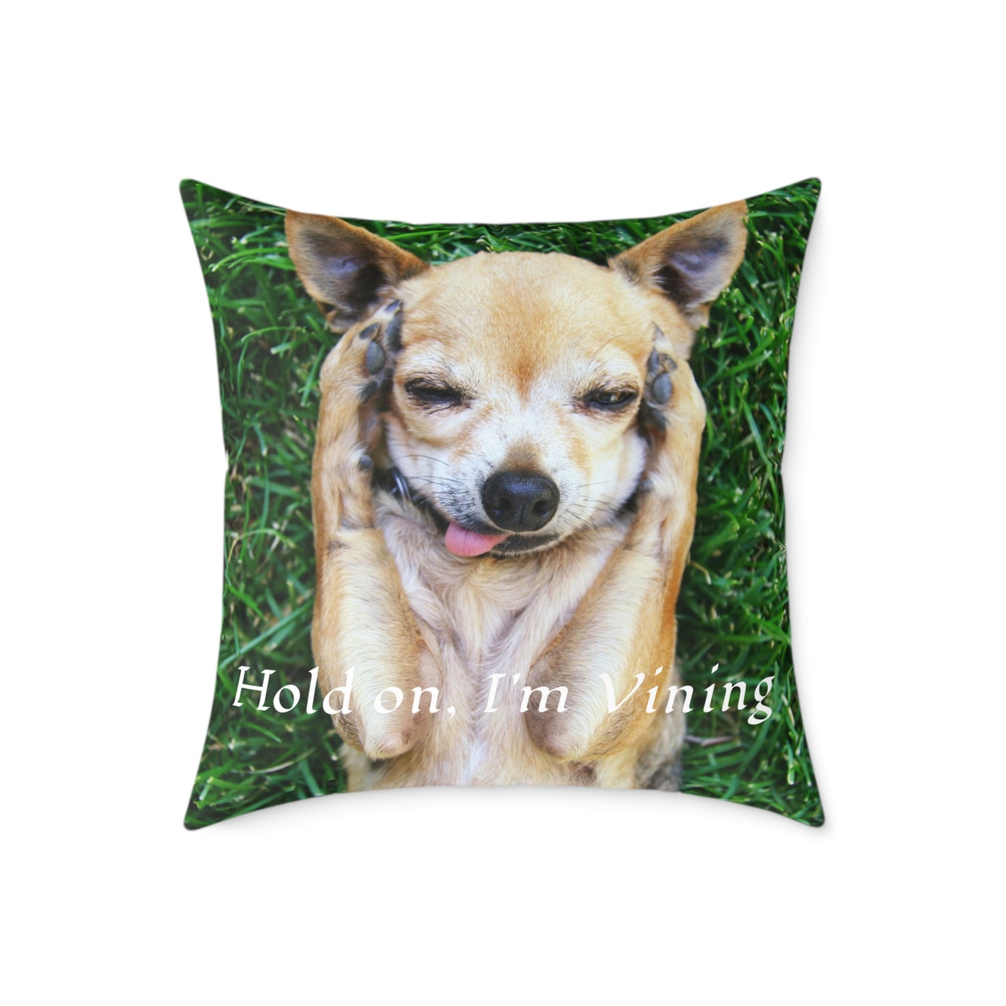 Square Pillow, Charming Dog Quote, Pet Lover Gift, Home Decor, Animal Lover