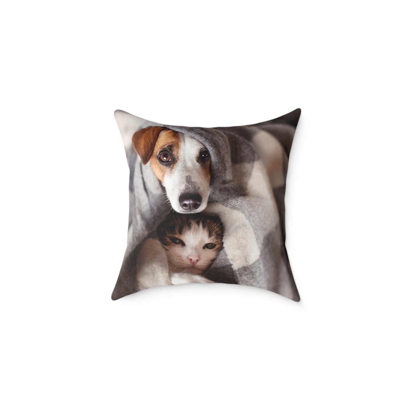 Square Pillow - Cozy Dog and Cat Design for Pet Lovers | Animal Decor, Home Gift, Living Room Accents