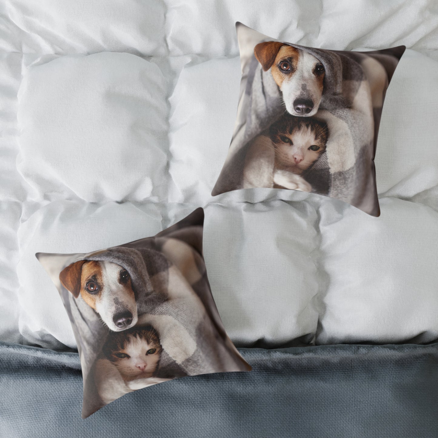 Square Pillow - Cozy Dog and Cat Design for Pet Lovers | Animal Decor, Home Gift, Living Room Accents