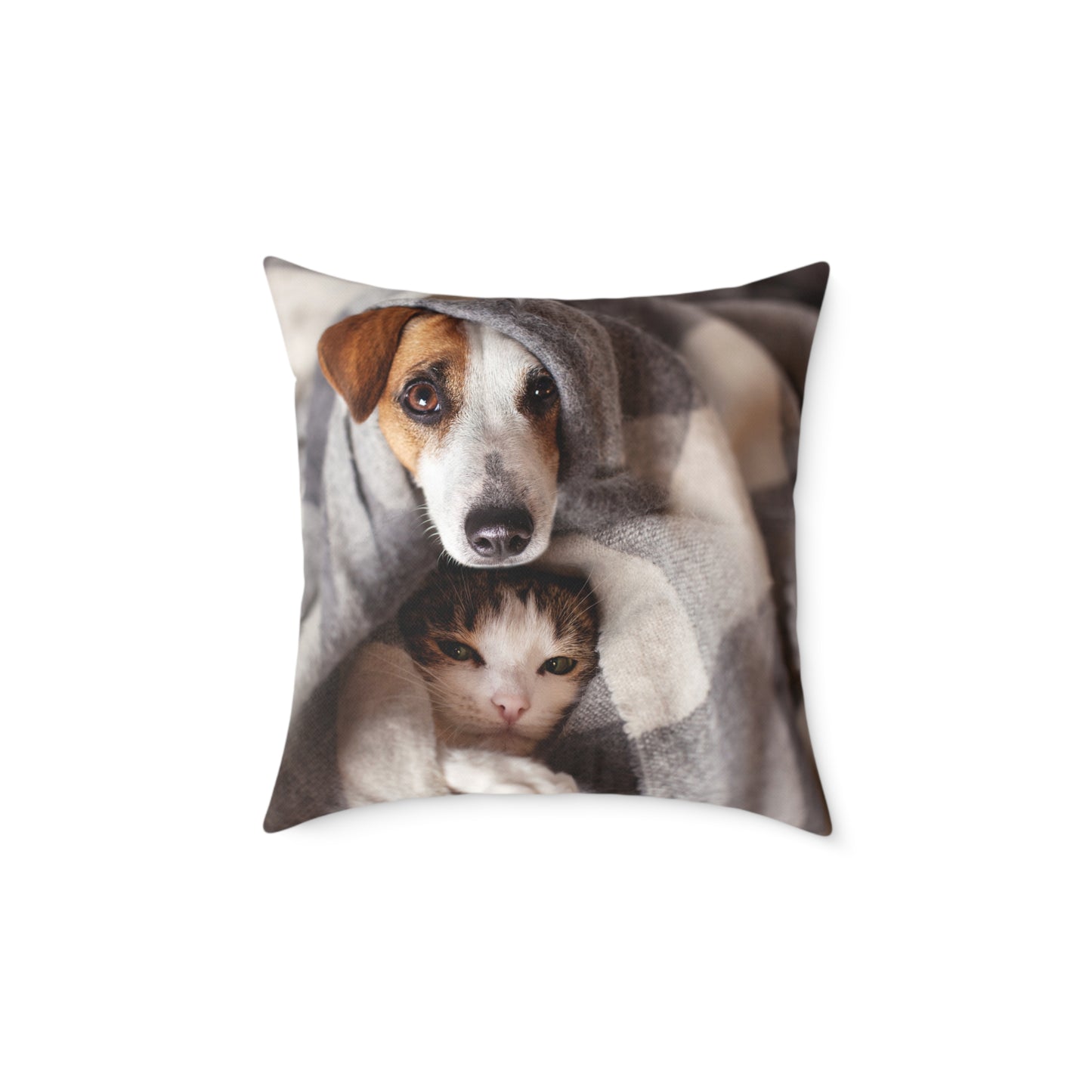 Square Pillow - Cozy Dog and Cat Design for Pet Lovers | Animal Decor, Home Gift, Living Room Accents