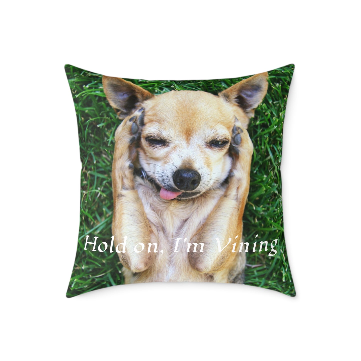 Square Pillow, Charming Dog Quote, Pet Lover Gift, Home Decor, Animal Lover