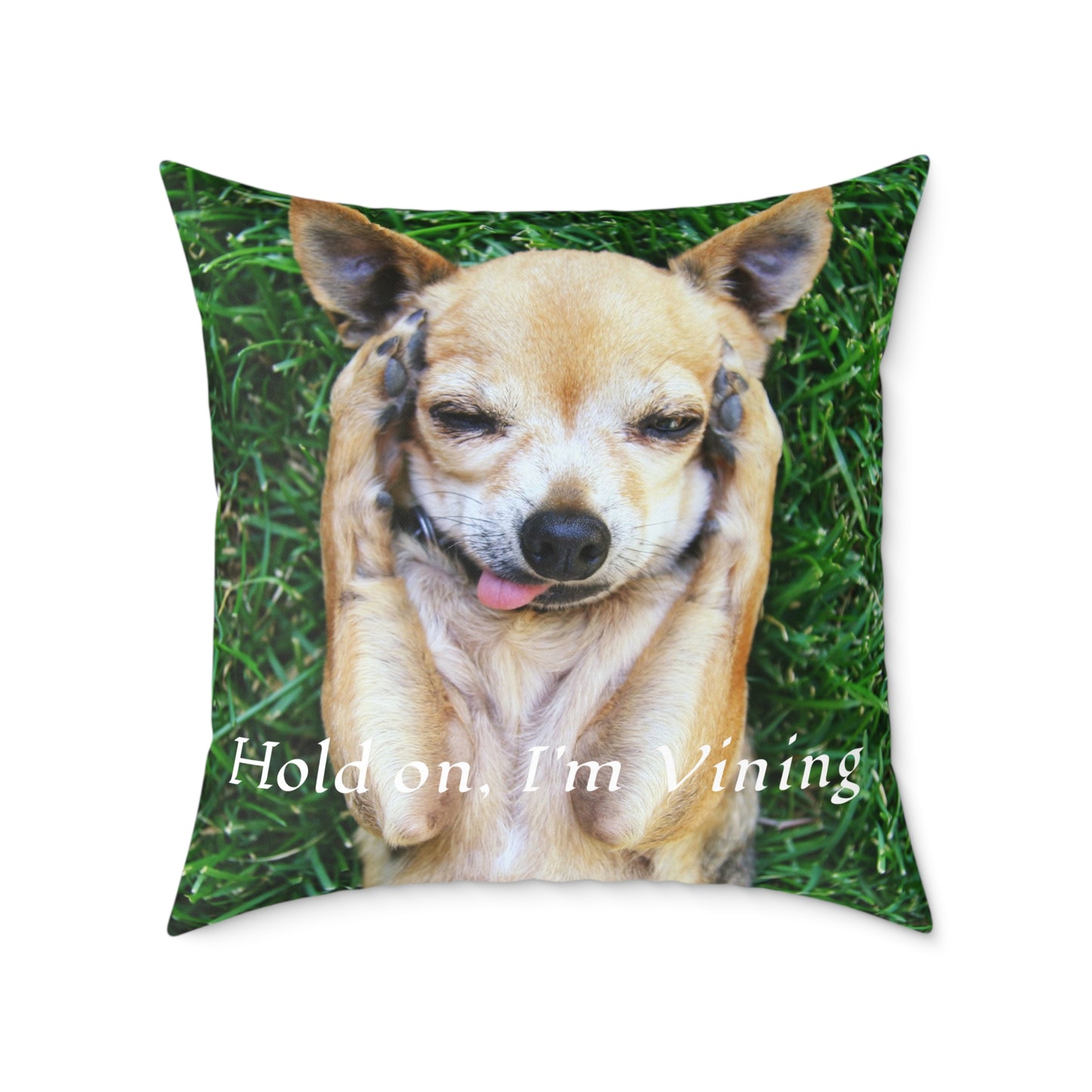 Square Pillow, Charming Dog Quote, Pet Lover Gift, Home Decor, Animal Lover