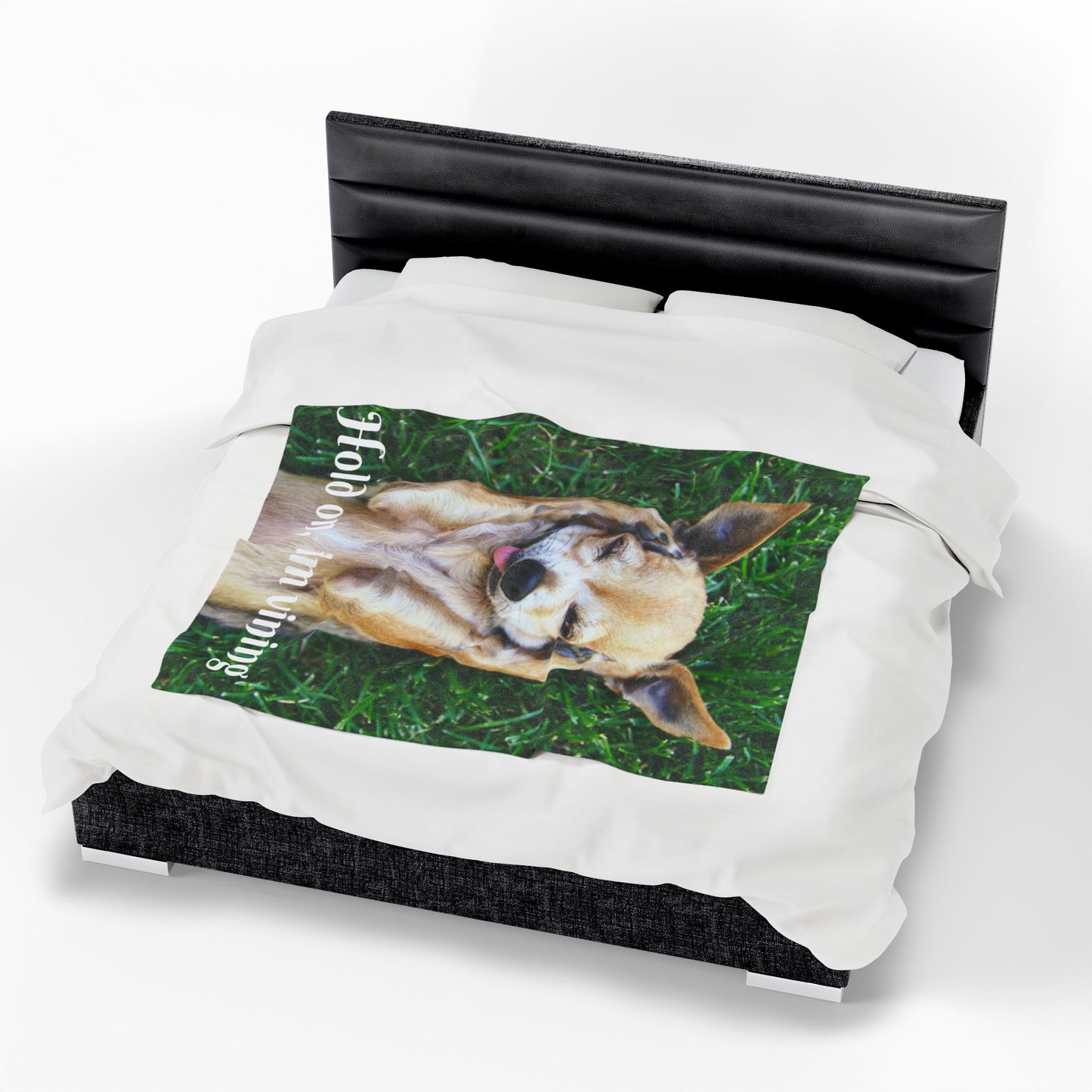 Charming Dog-Themed Velveteen Plush Blanket | Cozy Pet Blanket, Cute Dog Decor, Gift for Dog Lovers, Funny Pet Blanket, Home Comfort