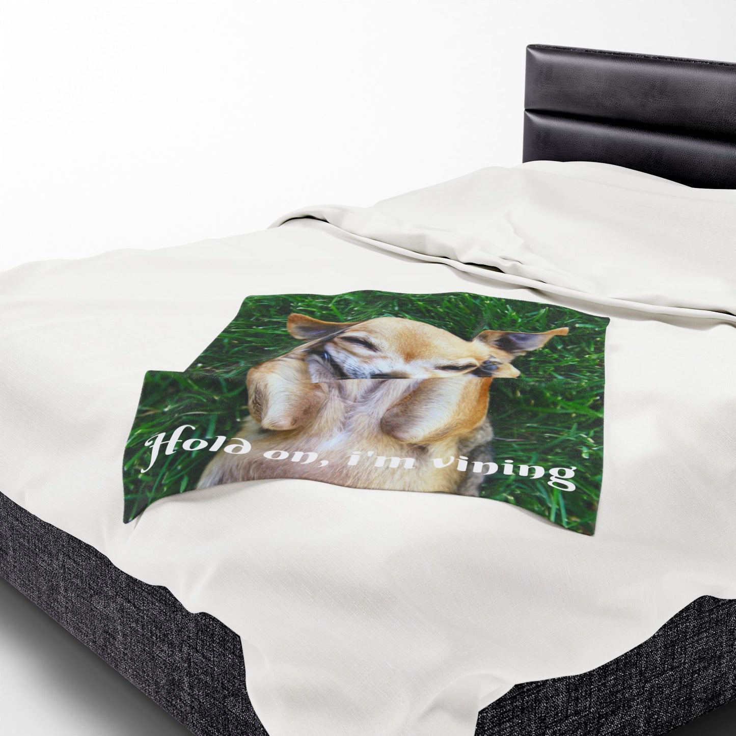 Charming Dog-Themed Velveteen Plush Blanket | Cozy Pet Blanket, Cute Dog Decor, Gift for Dog Lovers, Funny Pet Blanket, Home Comfort