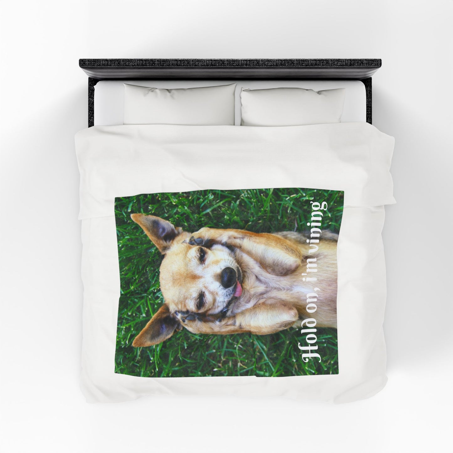 Charming Dog-Themed Velveteen Plush Blanket | Cozy Pet Blanket, Cute Dog Decor, Gift for Dog Lovers, Funny Pet Blanket, Home Comfort