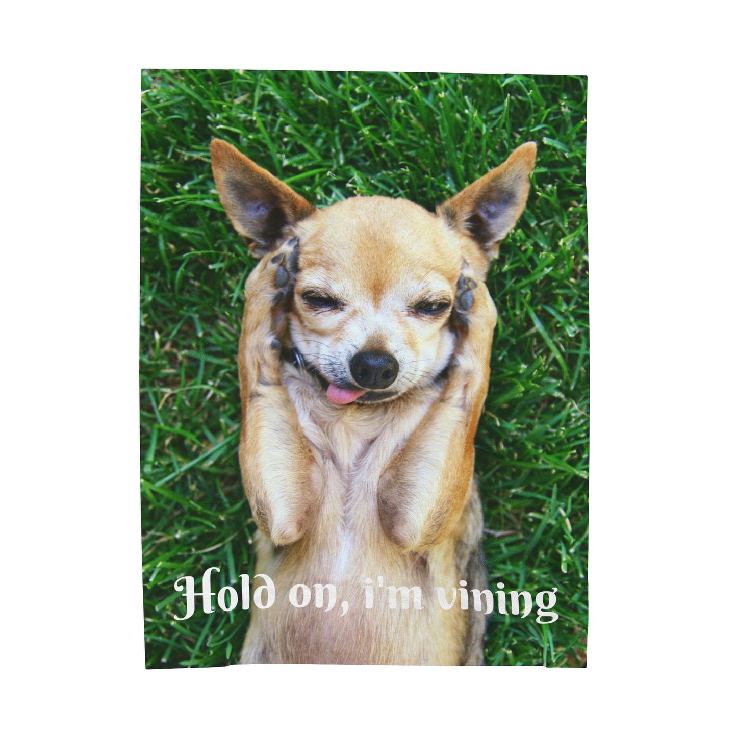 Charming Dog-Themed Velveteen Plush Blanket | Cozy Pet Blanket, Cute Dog Decor, Gift for Dog Lovers, Funny Pet Blanket, Home Comfort