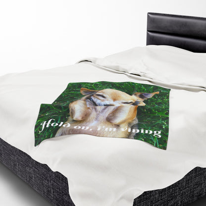 Charming Dog-Themed Velveteen Plush Blanket | Cozy Pet Blanket, Cute Dog Decor, Gift for Dog Lovers, Funny Pet Blanket, Home Comfort