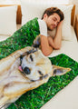 Charming Dog-Themed Velveteen Plush Blanket | Cozy Pet Blanket, Cute Dog Decor, Gift for Dog Lovers, Funny Pet Blanket, Home Comfort